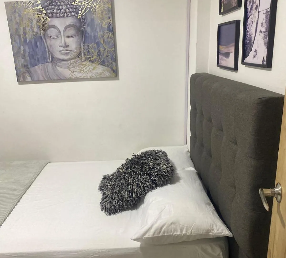 Hotel Boutique San Joaquin Plaza Medellin Colombia